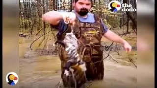 AWESOME Guys Rescue Stranded Animals During Flood Using Their Boat | The Dodo