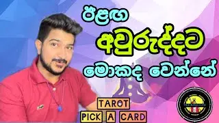 ඊළඟ අවුරුද්දට මොනවා වෙයිද❓#tarot #tarotreading #nextyear #life #love