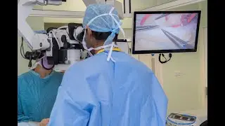 When to release a nerve after injury