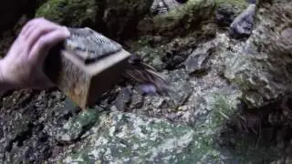 Bottom of Gunners Pool (Exploration)