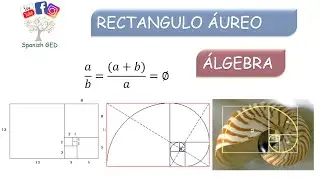 RECTÁNGULO ÁUREO  - Álgebra
