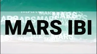 LIRIK MARS IBI (Ikatan Bidan Indonesia)