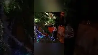 Ready for Christmas 🎄