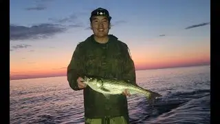 Gaspesie Sea Fishing Trip with my Brother!!! Part 1: Fish and Struggle in Paradise!! #striper