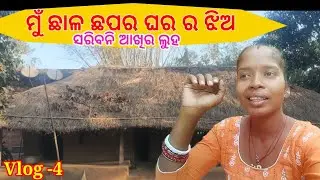 ମୁଁ ଛାଳ ଛପର ଘର ର ଝିଅ।। I am ଗରିବ।।Guddi vlog Brr ।।