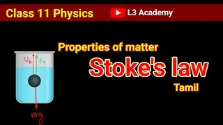 Stoke's law explained in tamil| properties of matter 11 Physics|#L3Academy