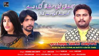 SAJNA NU SHAHLA KAHIN DE GHATAY KADI NA  | Muzammil Abbas Chinyoti | Folk Star Music 2023
