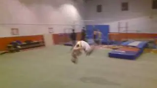 Frontflip