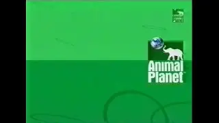 Animal Planet UK Idents & Promos (late 1999)