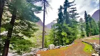 Beautiful View of Gabral Kalam | Nature&rsquo;s Paradise in Swat Valley #swat #share #kalam #pakistan 