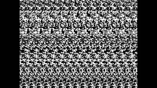 Tesla depth mapping in wall-eyed stereogram animation.