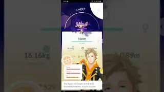 Shadow Aipom 96IV