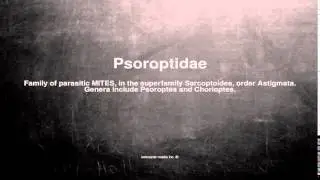 Medical vocabulary: What does Psoroptidae mean