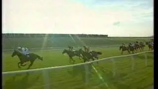 1993 Crowther Homes Becher Handicap Chase