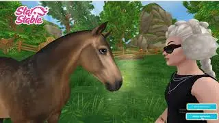 ACHAT du Connemara tant attendu SSO star stable
