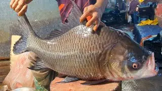 Large Katla Carp Fish Processing | Expert Knife Skills | Fish Cutting