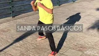 CHINESE BOXING SANDA 🥊 | USA Shaolin Temple Argentina