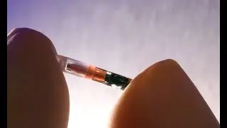 First money transfer to MICROCHIP IN HUMAN HAND! Revelation unfolding