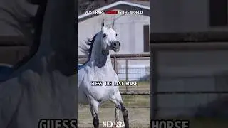 POV: You Just Saw the Rarest Horse Alive PART 2 #trollface