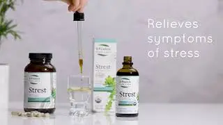 Strest - Everyday Stress Relief