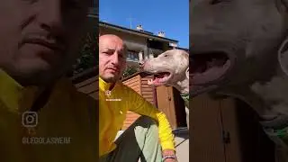 This Dog's Reaction Will Make You Laugh!