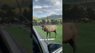 Ее родители слишком смешные 😂