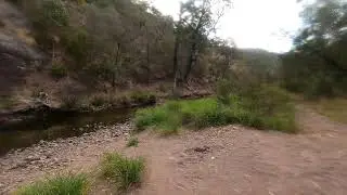 Wild Cherry Tree Campsite Licola