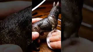 ASMR Restoration: Rusty Vintage Dog Toy ✨ #shorts