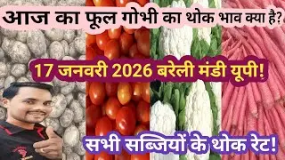 सभी सब्जियों के थोक रेट बरेली मंडी up|| all vegetable price today ||
