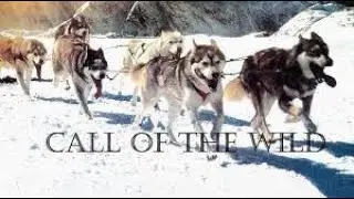 jack london the call of the wil ဆိုတဲ့စာအုပ်လေးကို ဘာသာပြန်ထားတဲ့             အရိုင်းခေါ်သံ