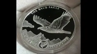 New pick up, the bald eagle world wildlife series