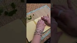Four-Leaf Clover Fun!