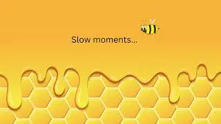 slow moments  #slowmoments#calmvideo#gentleloop#soothingvisuals#relaxingvibes#bennythebee