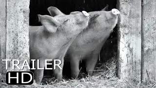 Gunda (2020) Trailer Joaquin Phoenix, Viktor Kosakovskiy