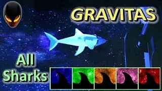 GRAVITAS : All Sharks