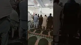 Taraveeh