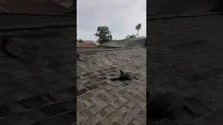 Storm damaged roof in chandler Arizona