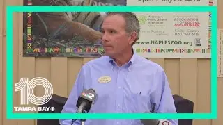 Naples Zoo president discusses death of endangered tiger