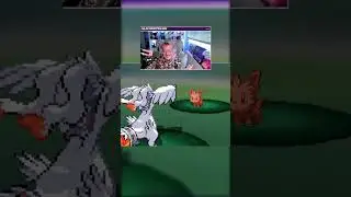 Poor Lillipup&hellip; #pokemon #pokemonblack #funnyclips #gamerhumour #gamergirl #twitchclips