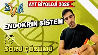 Endokrin Sistem Soru Çözümü | AYT Biyoloji | Hormonlar ve Mekanizmalar | YavuzBIO