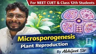 Microsporogenesis |Anther  | Pollen grain | Atomic Life | By-Abhijeet Sir #mbbs #neet #education 