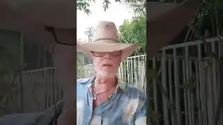 #gordonjackson #snevrenuf #starmaker #ruggedcross #alanjackson #solo