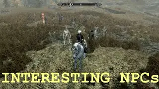 Elder Scrolls 5 Skyrim Mod Interesting (The Harem of Nine Divines)