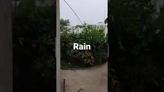 Rain in MP