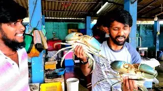 நண்டுடன் சம்பவம் | Incident with crab | #jaffna #யாழ்ப்பாணம் #mrmega