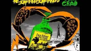 The Something Somethings - Stoopid.avi