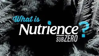 What is Nutrience SubZero dog and cat food?