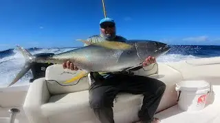 Ep 4: Catching big Tunas - 12 Mile Bank, Cayman Islands