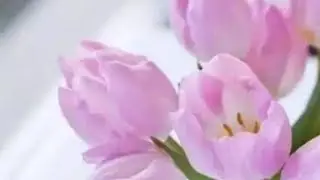 Hello everyone 🤗