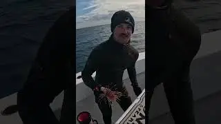 encounter with invasive lionfish